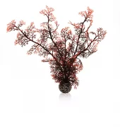 biOrb Sea fan extra large crimson PL19