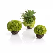 biOrb coral ball set green