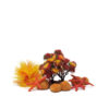 biOrb Decor Set 15L Autumn