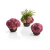 biOrb coral ball set purple 3pk