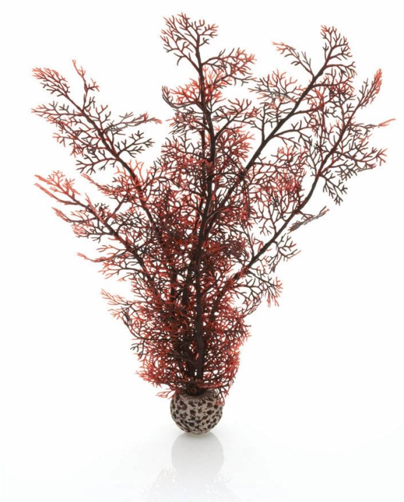 biOrb Sea fan large crimson PL17