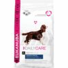 Euk DailyCare Overweight, Sterilized 2,5kg(utgått)