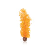 biOrb Sea fan medium orange PL42