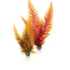 biOrb Aquatic autumn fern set 2 PL09