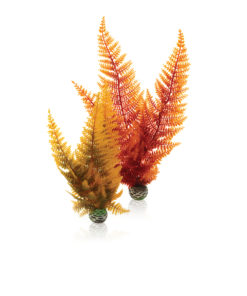 biOrb Aquatic autumn fern set 2 PL09