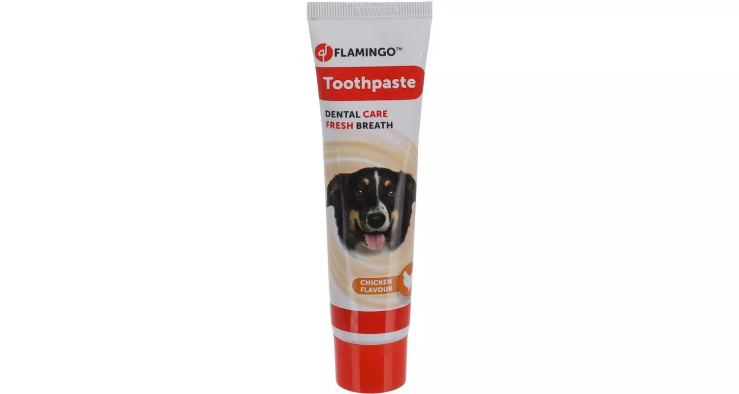 Tannkrem Kyllingsmak 85gr (12)