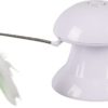 CT LASER TOY WITH FEATHERS 2IN1