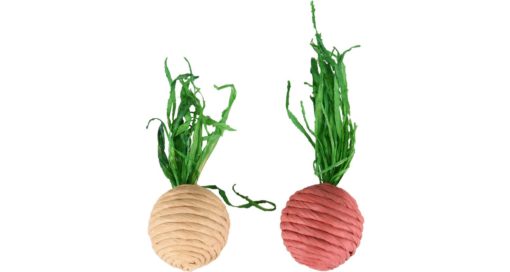 SAT RADISH RADI DIA. 4,5CM 2PCS