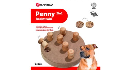 DOGGY BRAIN TRAIN 32CM PENNY