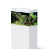 Oase StyleLine 125 Akvarium & bord HVIT (115liter)