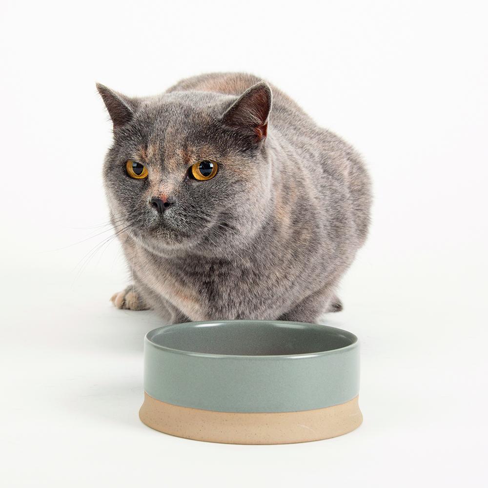 Scruffs Scandi Non Tip Pet Bowl - 14x14x5cm Cream