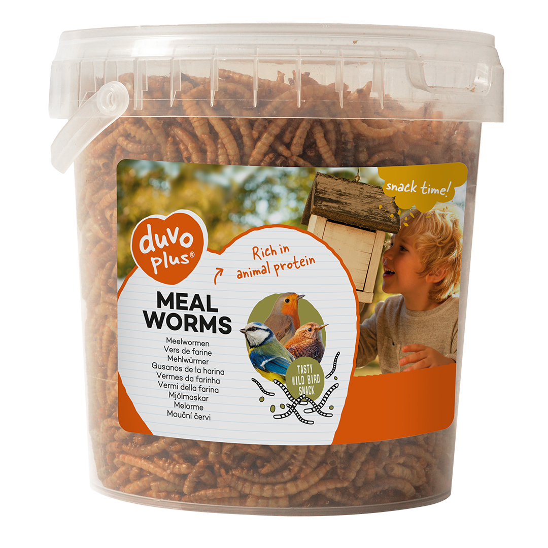 MEAL WORMS BUCKET 1L ca. 200GR