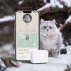 Lilcat Gps