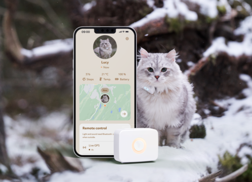 Lilcat Gps