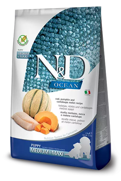 N&D Ocean Dog Cod, Pumpkin & Cantaloupe Melon Puppy Medium & Maxi 12 Kg