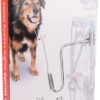 Doggy guide bicycleleading (springer)5308389