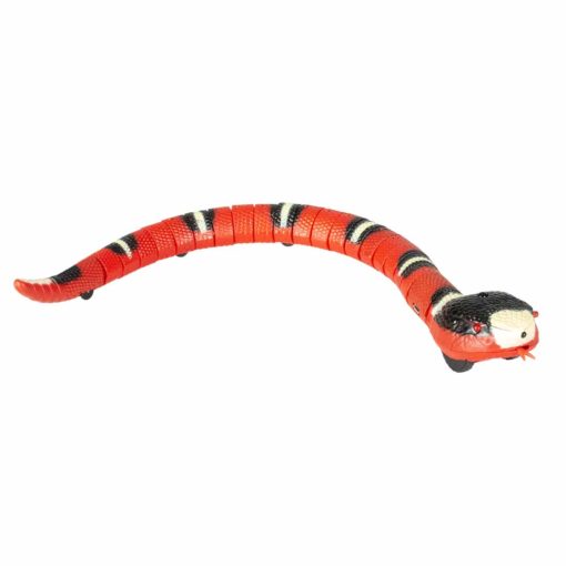 Ct Moving snake