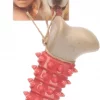 Dt Nyra Bone L(4)