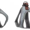 Harness Step&Go Nelson Blue S (2)