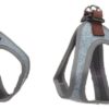 Harness Step&Go Nelson Blue Xs