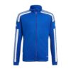 Adidas  Sq21 Tr Jkt Y