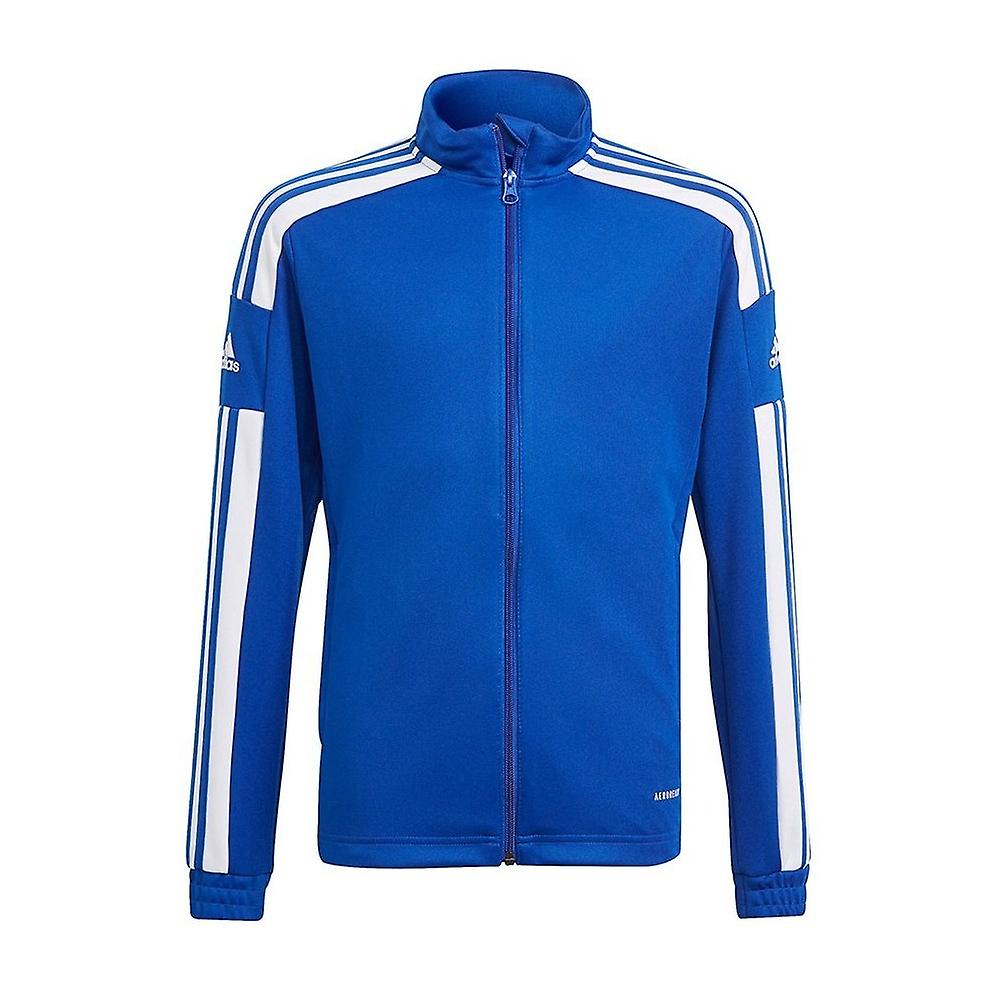 Adidas  Sq21 Tr Jkt Y