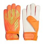 Adidas  PRED GL TRN J