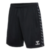 Hummel  Hmlauthentic Pl Shorts Woman