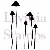 Skinny Mushrooms - LAV400