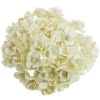 50 LIGHT IVORY MULBERRY PAPER SWEETHEART BLOSSOM FLOWERS