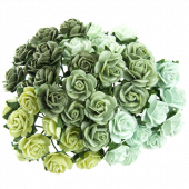 GREEN MULBERRY PAPER OPEN ROSES