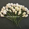 40  Ivory MULBERRY PAPER TULIP FLOWERS