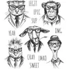 Hipster CMS 288