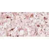 Stampendous Frantage Color Fragments Rosa