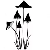 Slender Mushrooms - Miniature LAV151