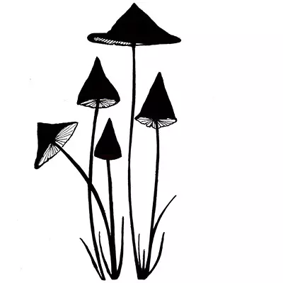 Slender Mushrooms - Miniature LAV151