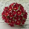 Wild orchid craft -Sweetheart Blossoms