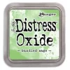 Ranger Distress Oxide - bundled sage