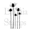 Silhouette Thistle - LAV411