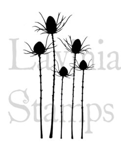 Silhouette Thistle - LAV411