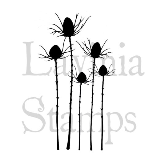 Silhouette Thistle - LAV411