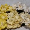 Wild Orchid Crafts Mulberry Paper Flowers- Apple blossoms - Yellow mix