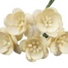 Wild orchids craft - 50 CREAM MULBERRY PAPER CHERRY BLOSSOMS - Cream