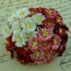 Wild orchids craft MIXED RED/WHITE COSMOS DAISY STEM FLOWERS 50 blomster