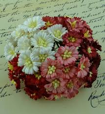 Wild orchids craft MIXED RED/WHITE COSMOS DAISY STEM FLOWERS 50 blomster