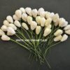 Wild orcids craft - 40  Ivory MULBERRY PAPER TULIP FLOWERS