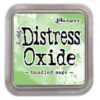 Ranger Distress Oxide - bundled sage