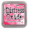 Ranger Distress Oxide - abandoned coral