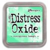 Ranger Distress Oxide - evergreen bough