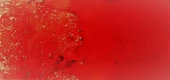 Brusho  Vermilion
